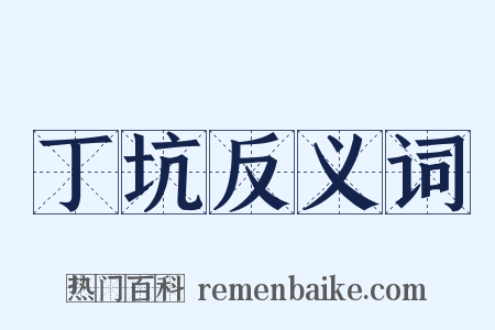 丁坑反义词是什么意思的图片